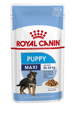 Maxi Puppy (in gravy)
